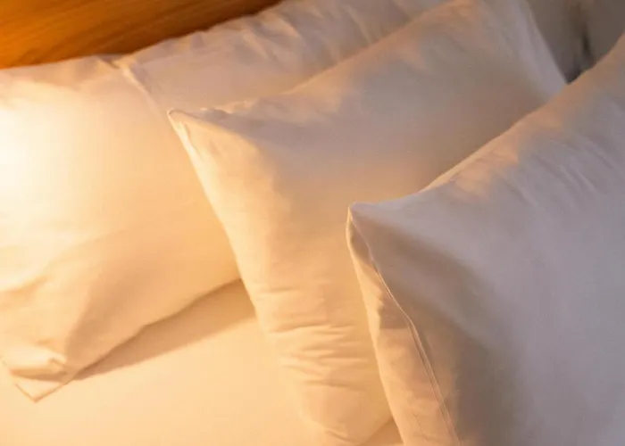 Alove Hotell San José