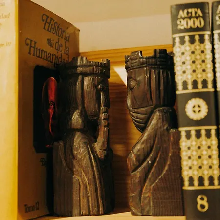 Alove San José